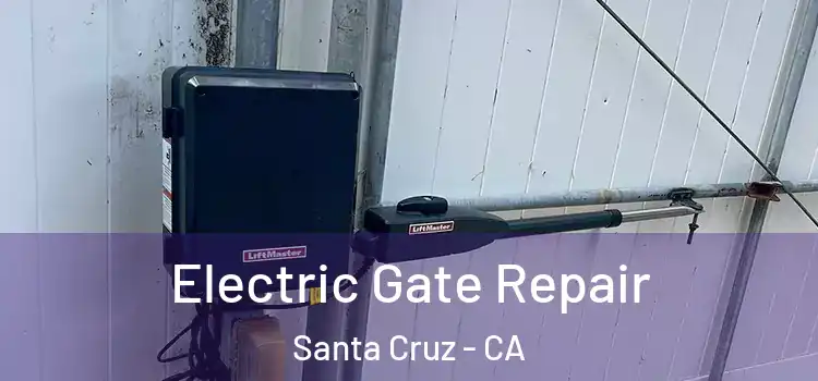 Electric Gate Repair Santa Cruz - CA