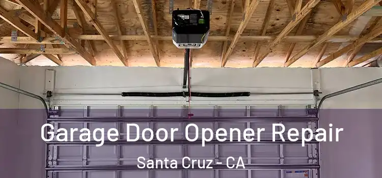  Garage Door Opener Repair Santa Cruz - CA