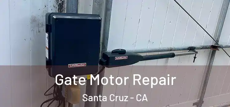 Gate Motor Repair Santa Cruz - CA
