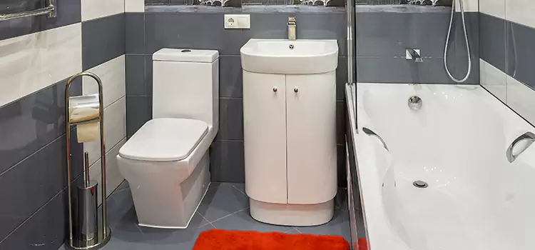 Hansgrohe Shaving Mirror Santa Cruz