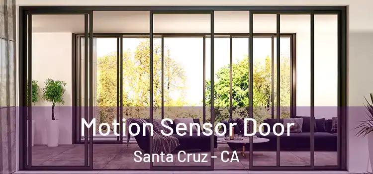 Motion Sensor Door Santa Cruz - CA