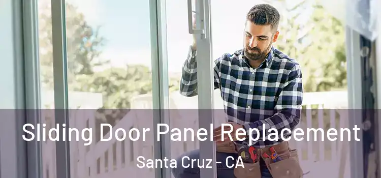  Sliding Door Panel Replacement Santa Cruz - CA